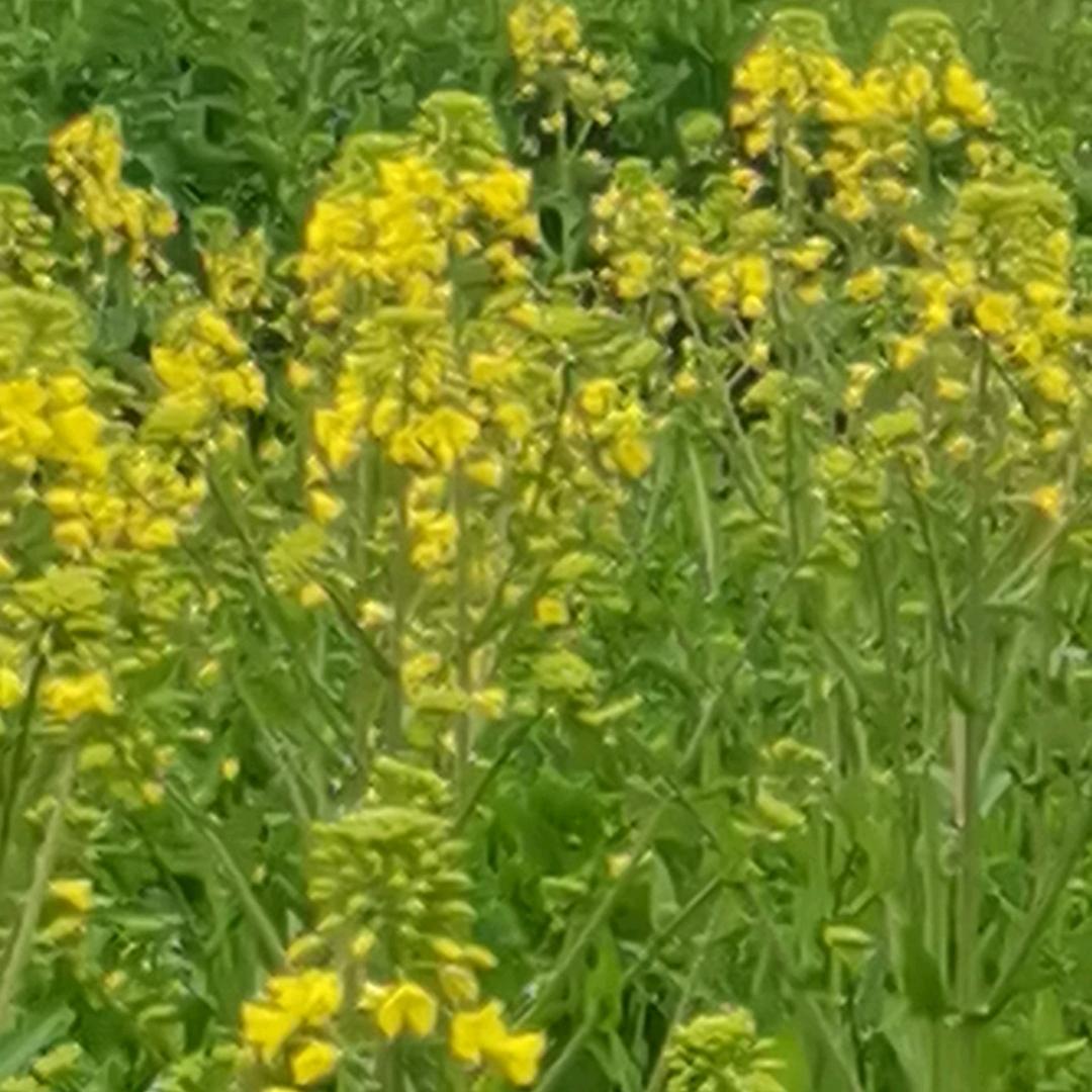有你才好