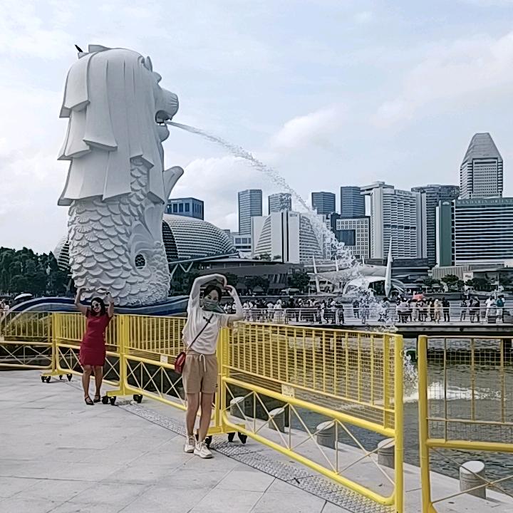 酷酷小阿姨