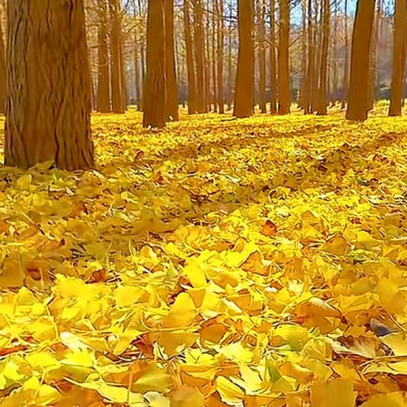 ღ᭄ꦿৡ: 💞࿐零度温柔ღ᭄ꦿৡ: