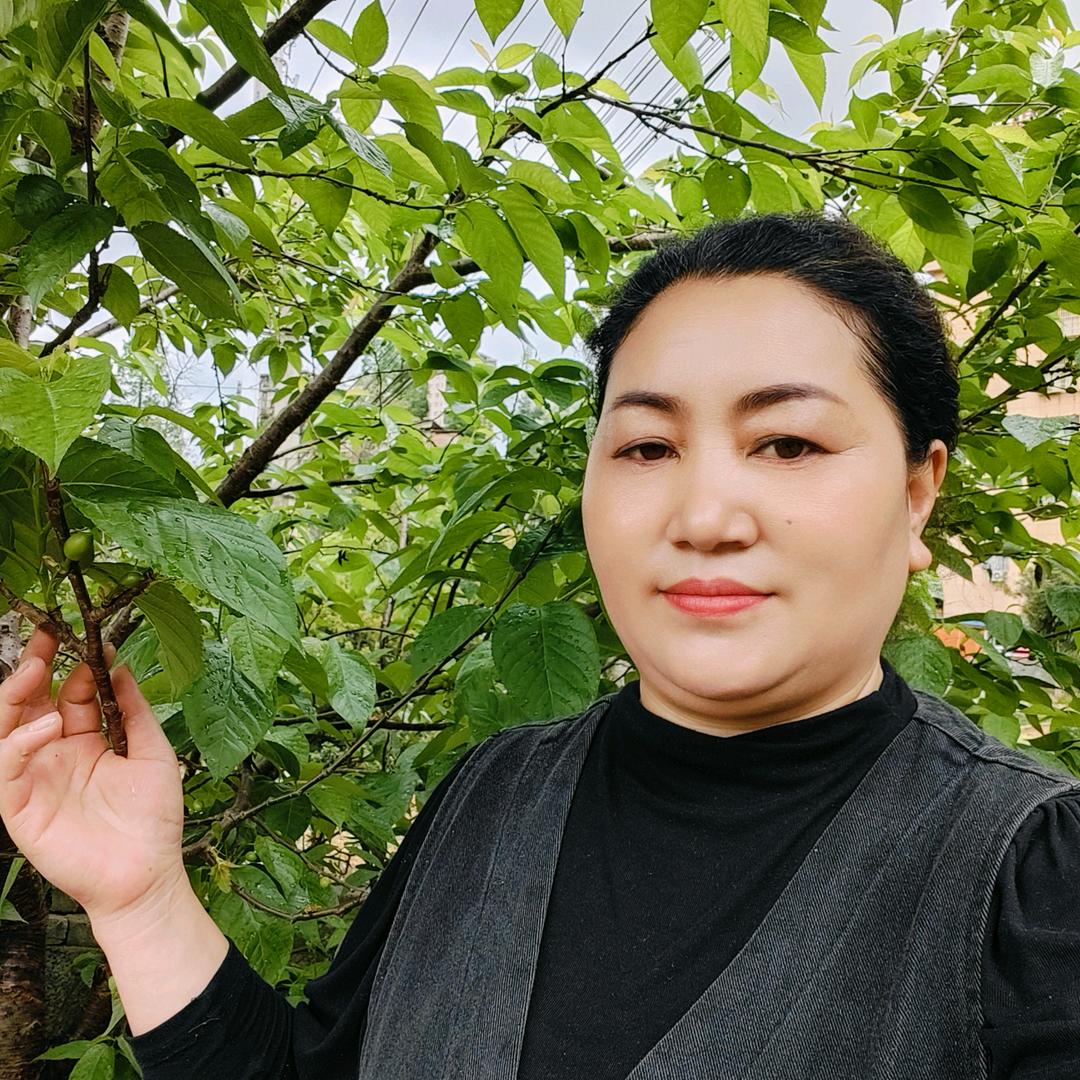 何三姐