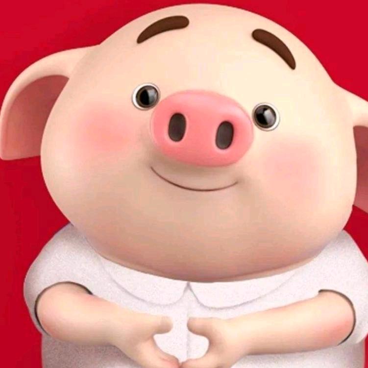 笨猪🐷
