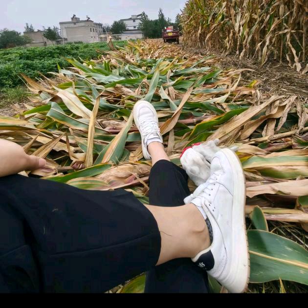 💞ℒ💗๓᭄心若初情♡ꦿ᭄Ꭽ: &