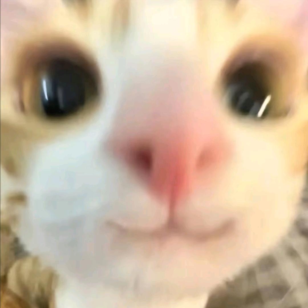 Ø𝙣𝙚𝙨 𝙁𝙤R