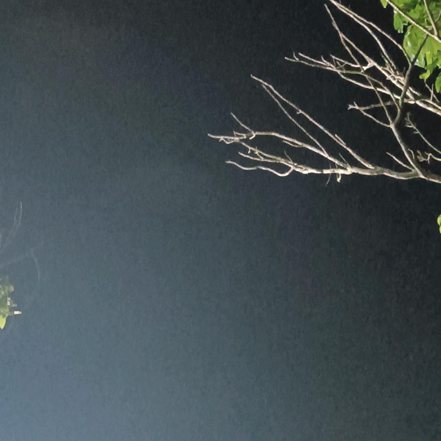 🍒日常视界࿐*