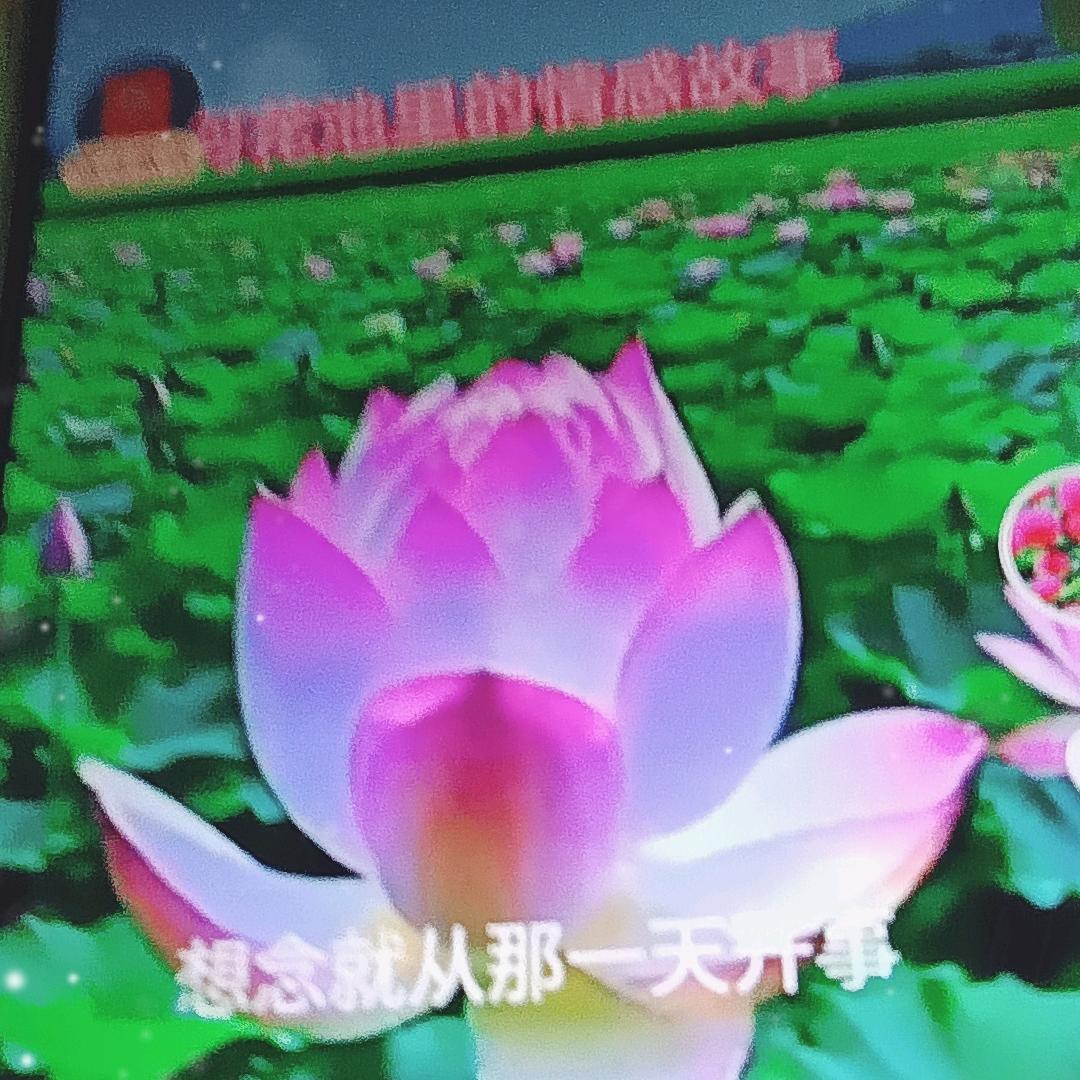余生盼健康快乐