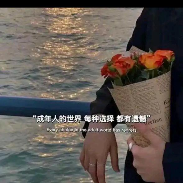 愿风裁尘