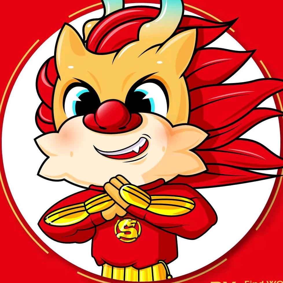 圣龙武术—刘教练