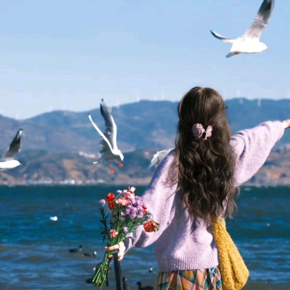 你当像鸟飞往你的山⛰️