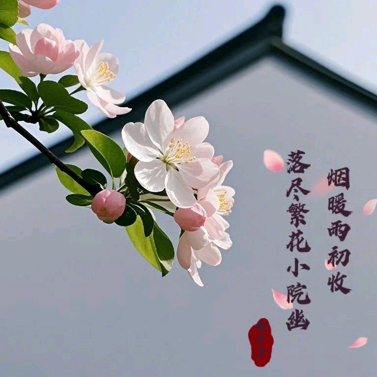 烟暖雨初收头像