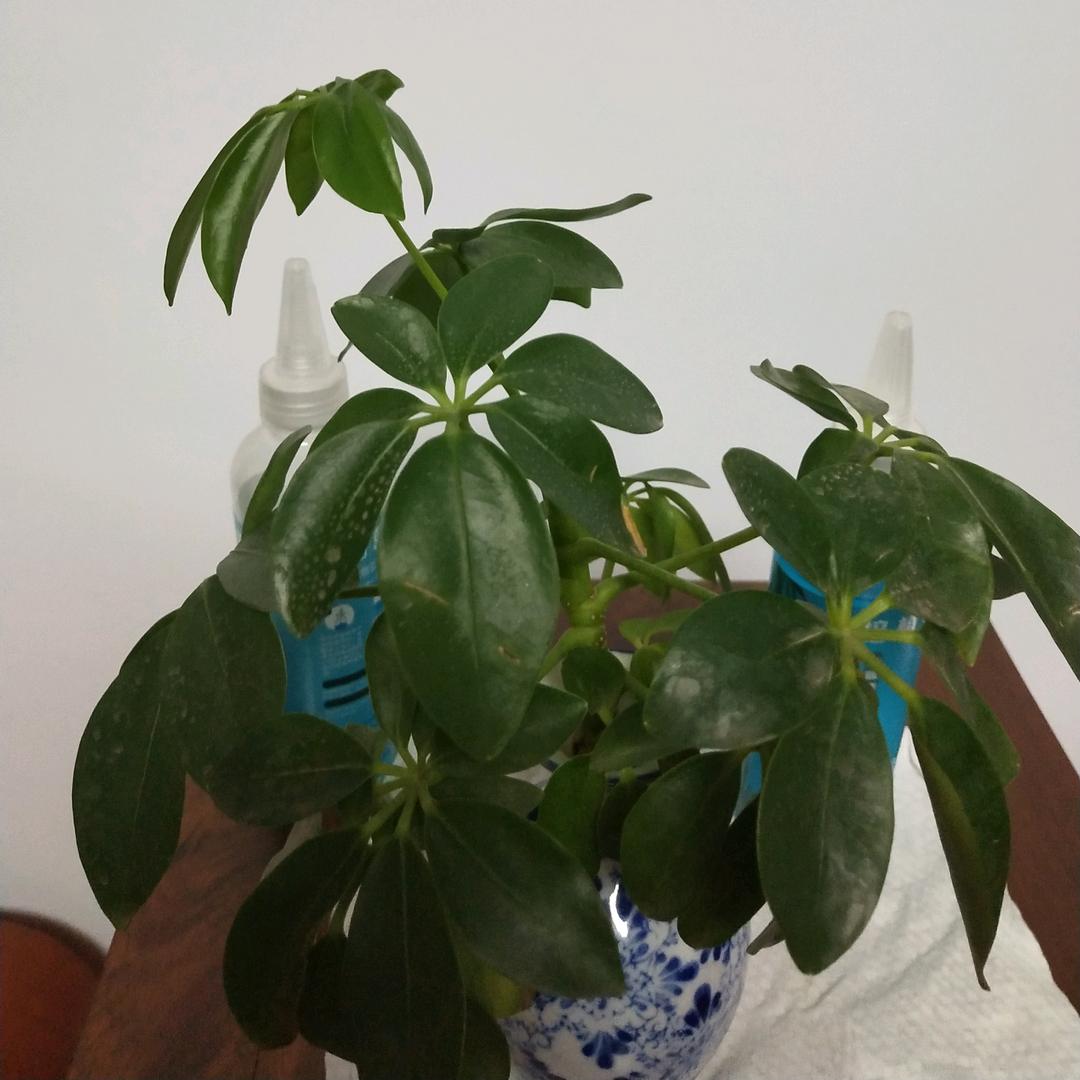 好好高兴