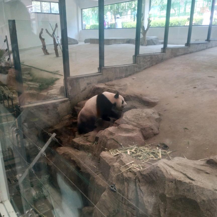 潍坊光良