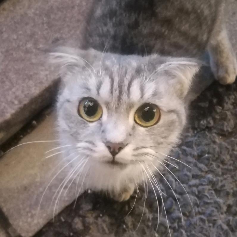 （仅此一次）💤