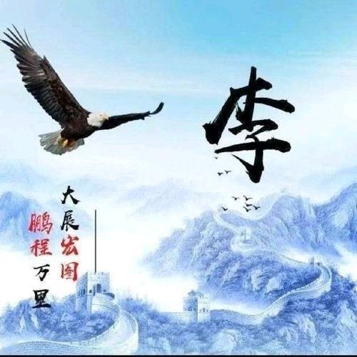 菲菲爱钓鱼1