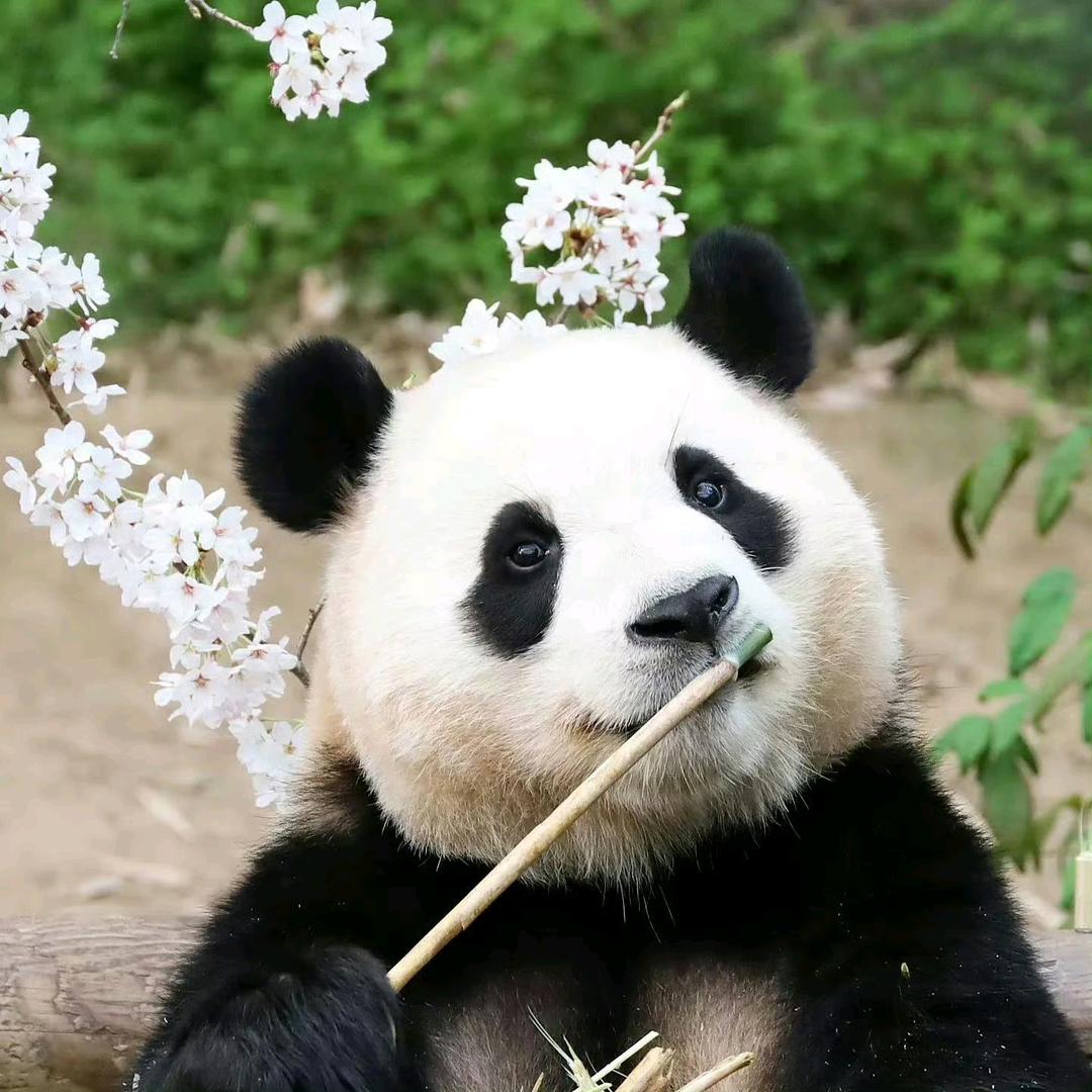 独享