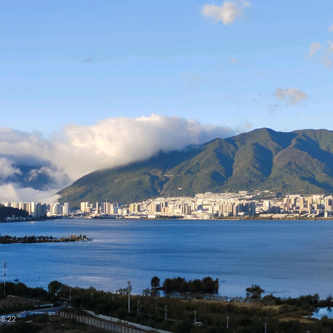 霸王龙楼市分析