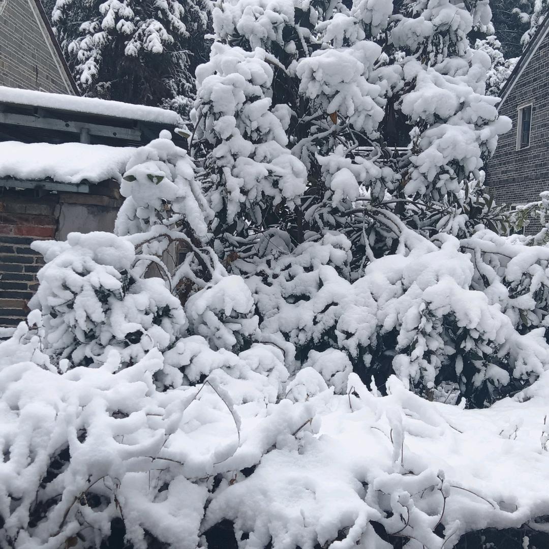 界富，新闻部长