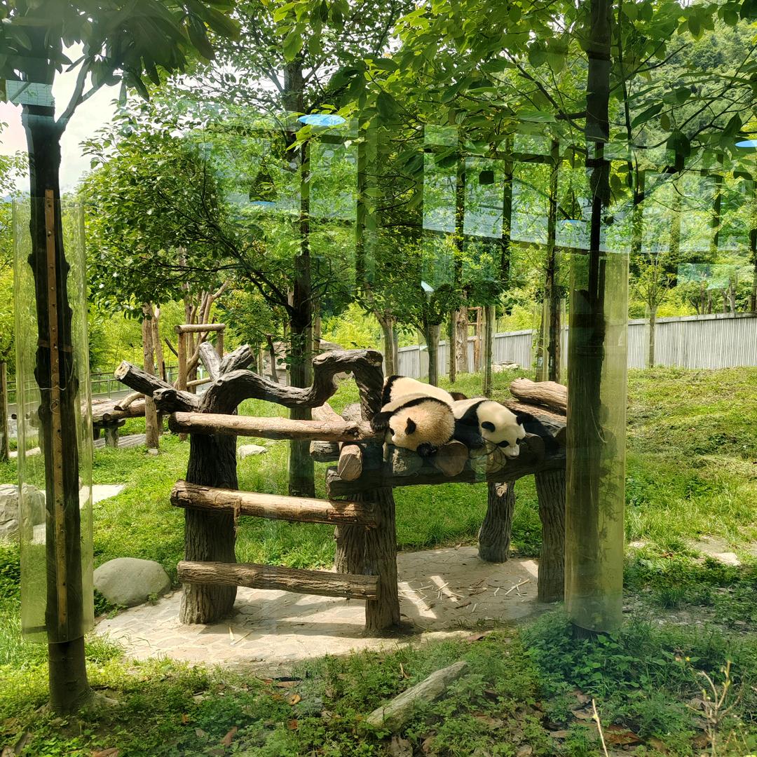 不见了
