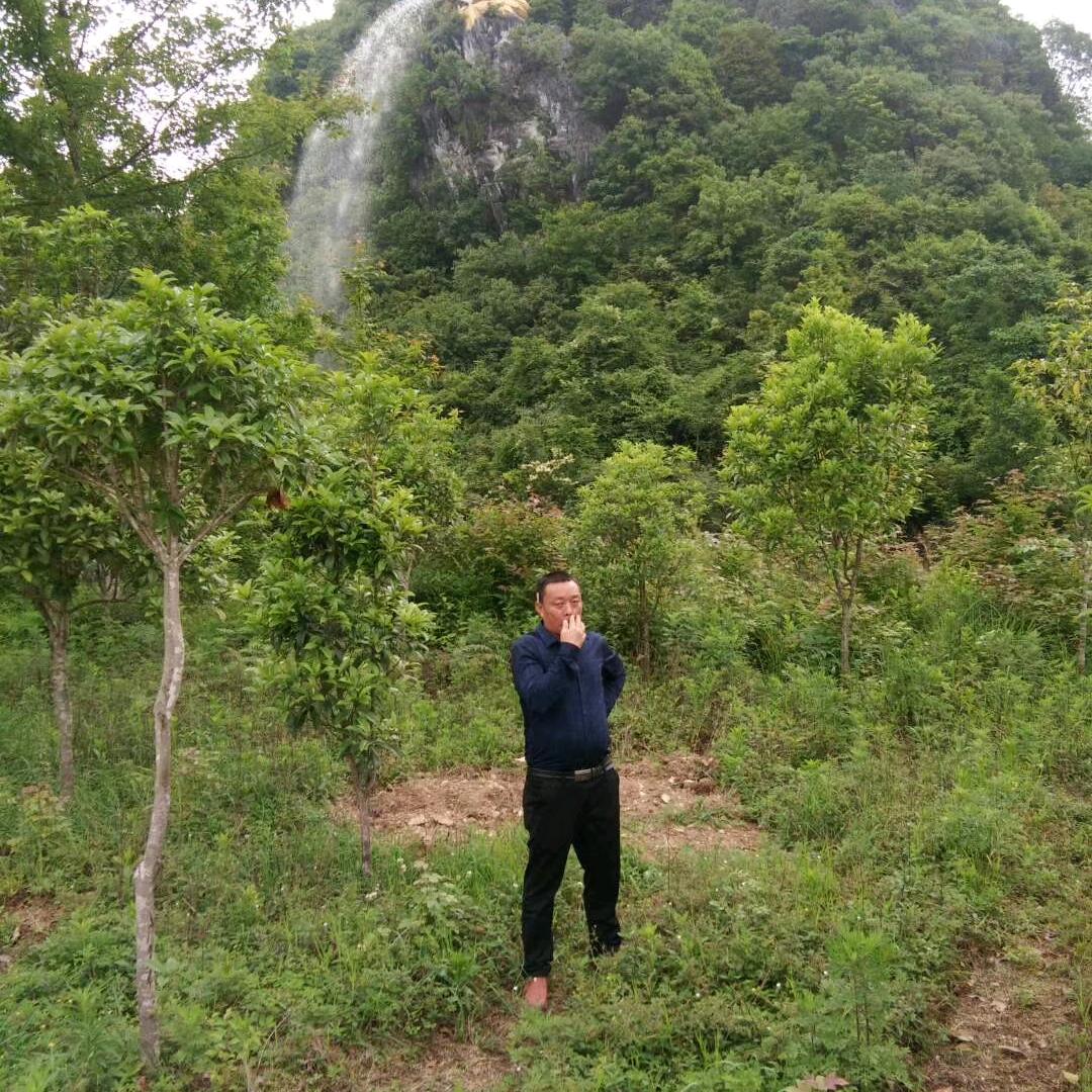 心灵感应