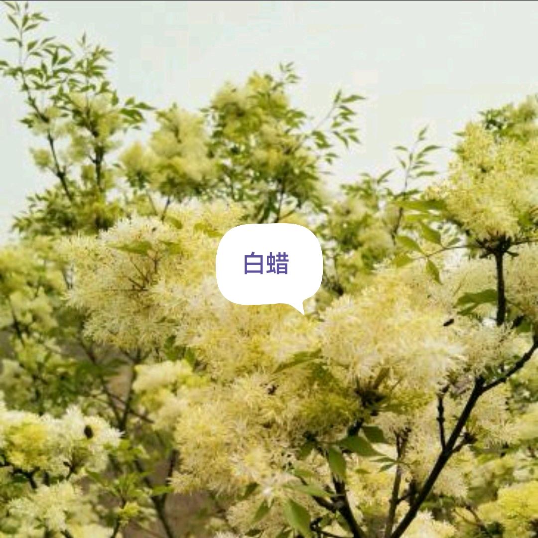 执手踏青～
