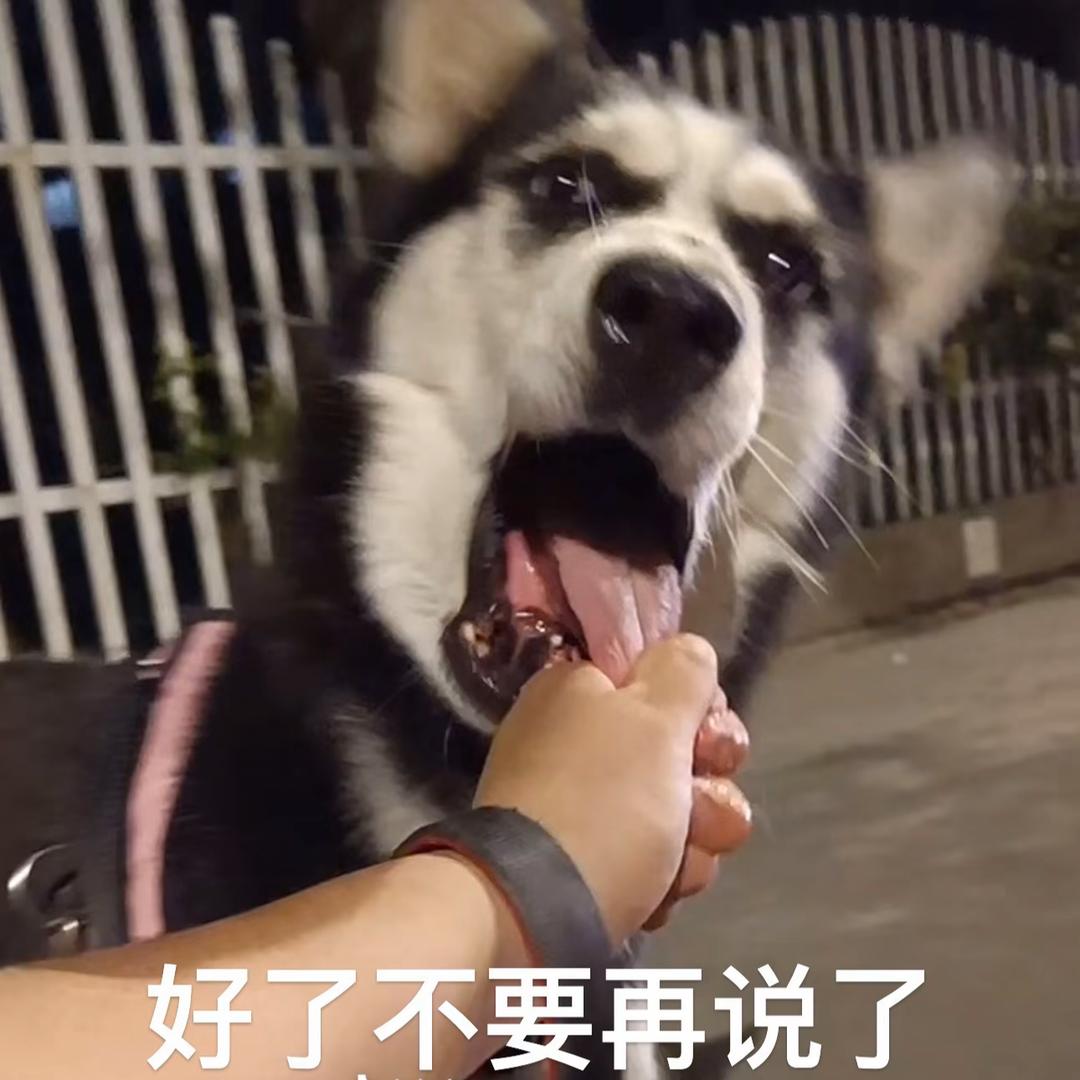 努力（瓦学弟）