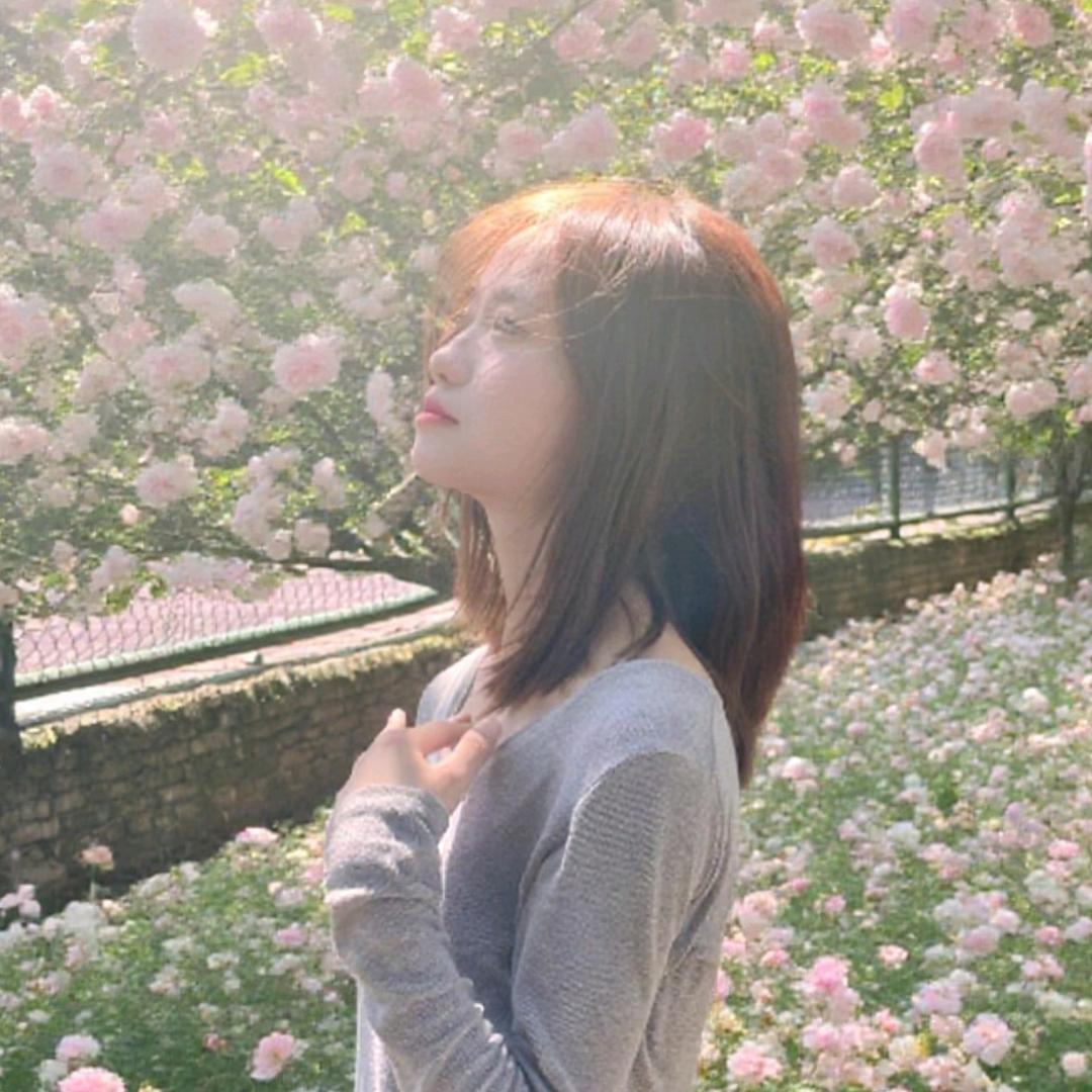 鱼的七秒记忆。