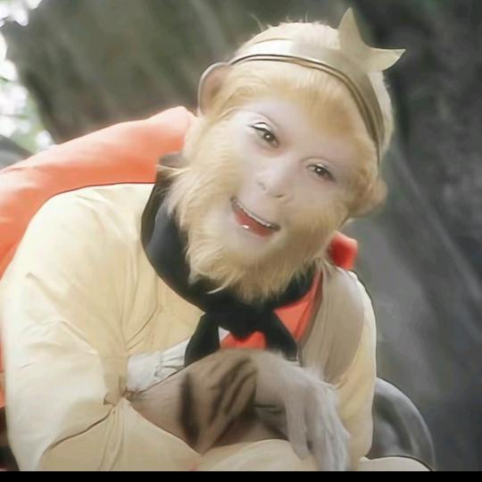 秋秋月儿