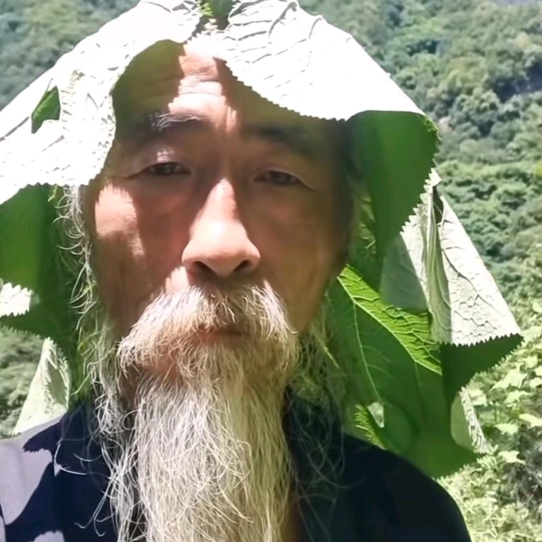 白瓷梅子酒头像