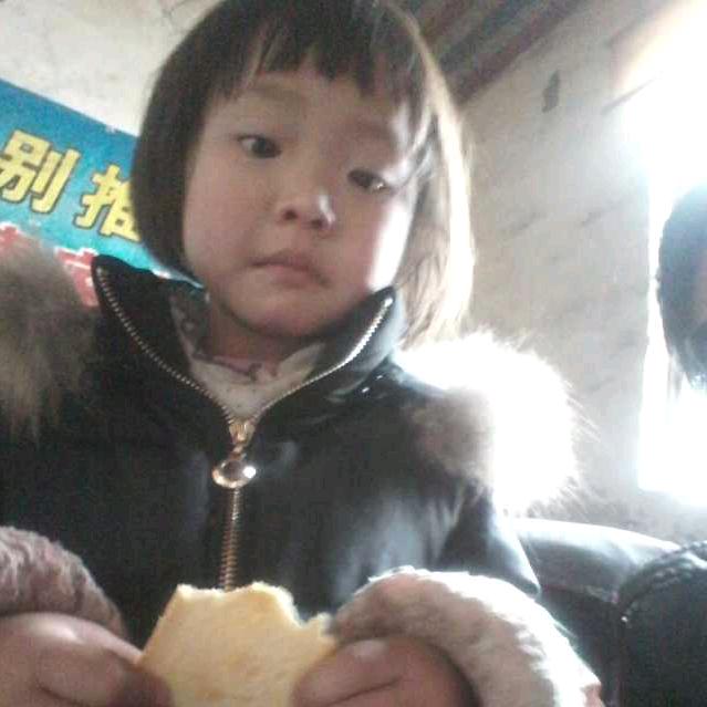 不倒翁蔡红立