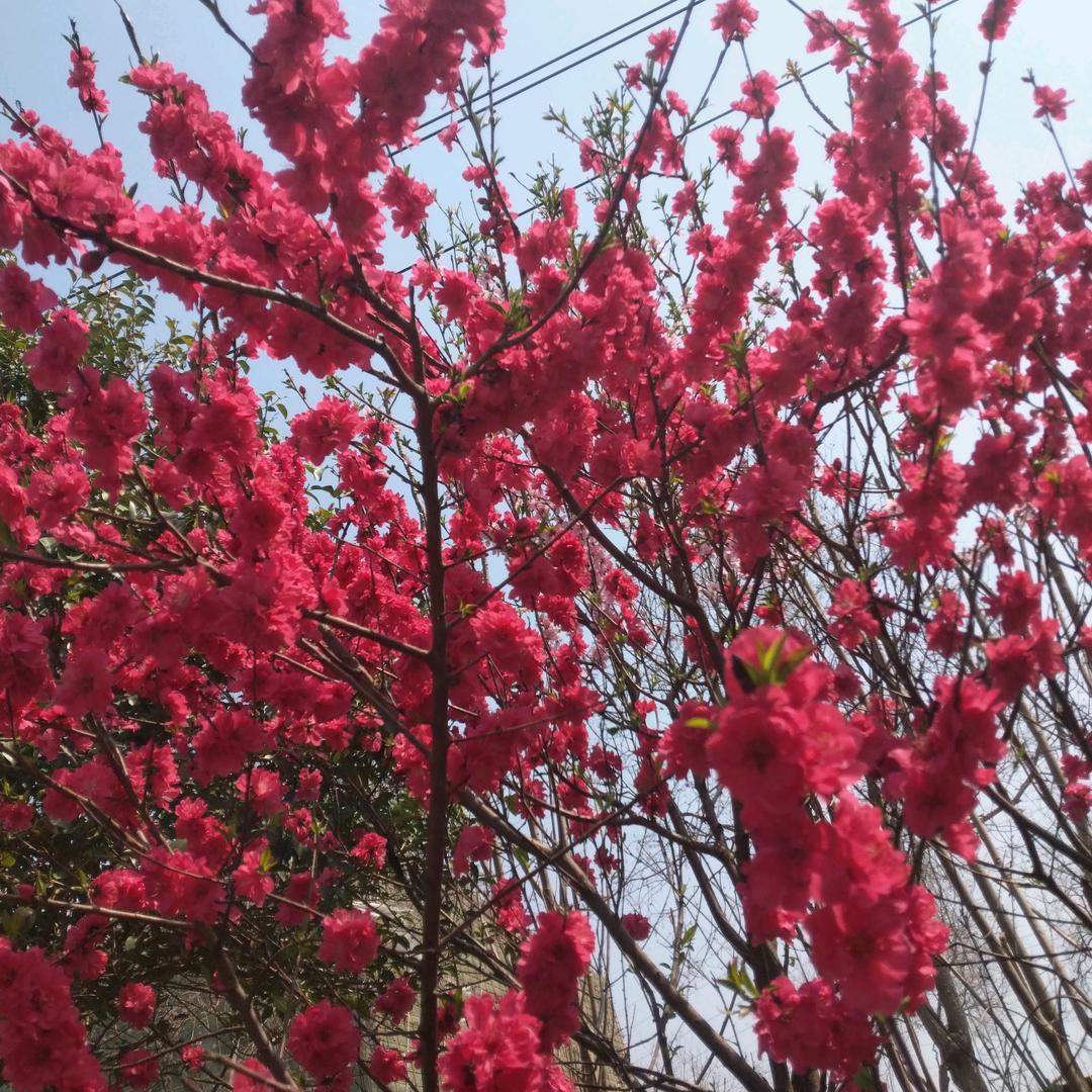 郭宜冉