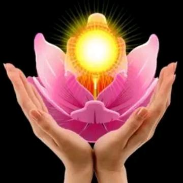 🌲在水一方🌳