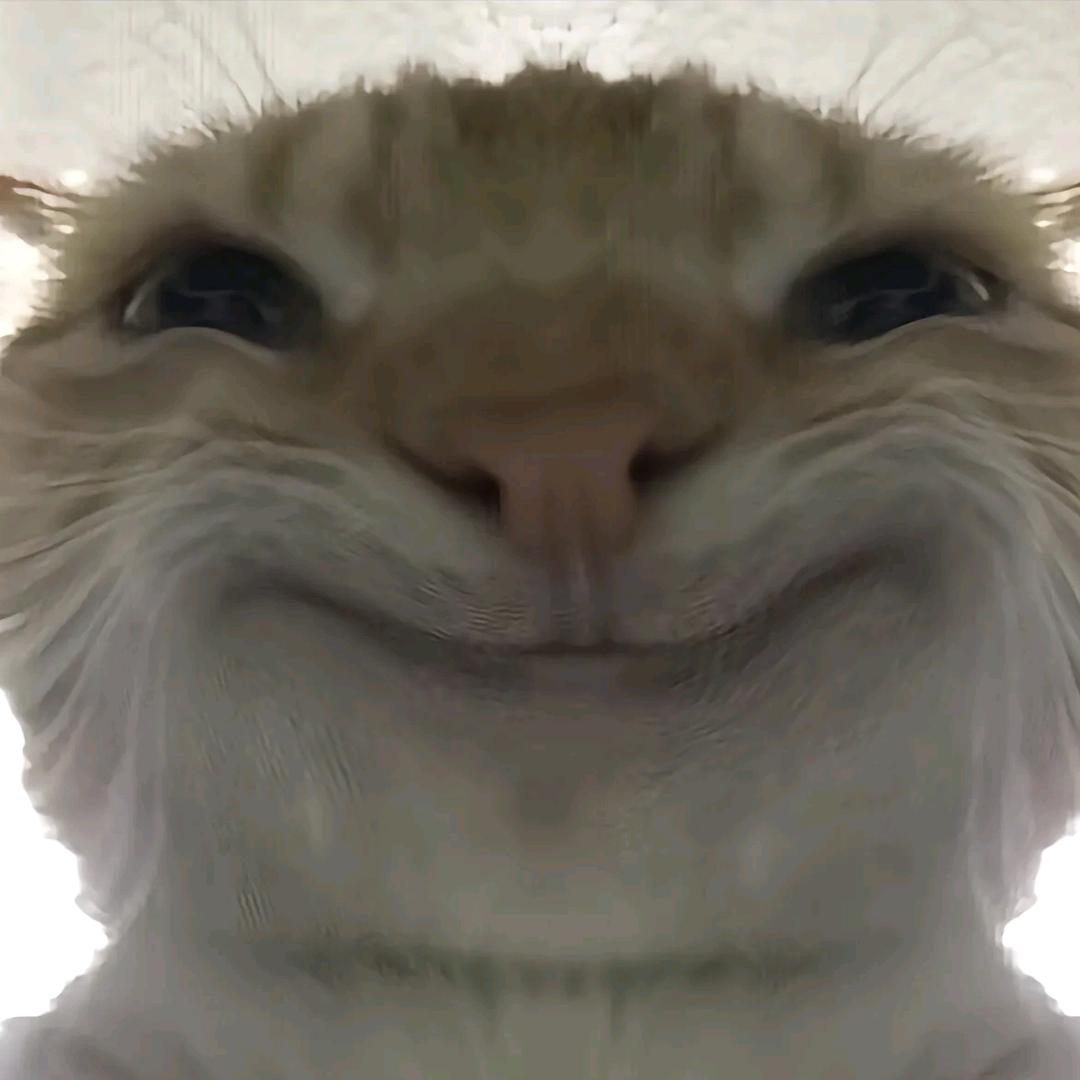 卡皮皮皮扒拉