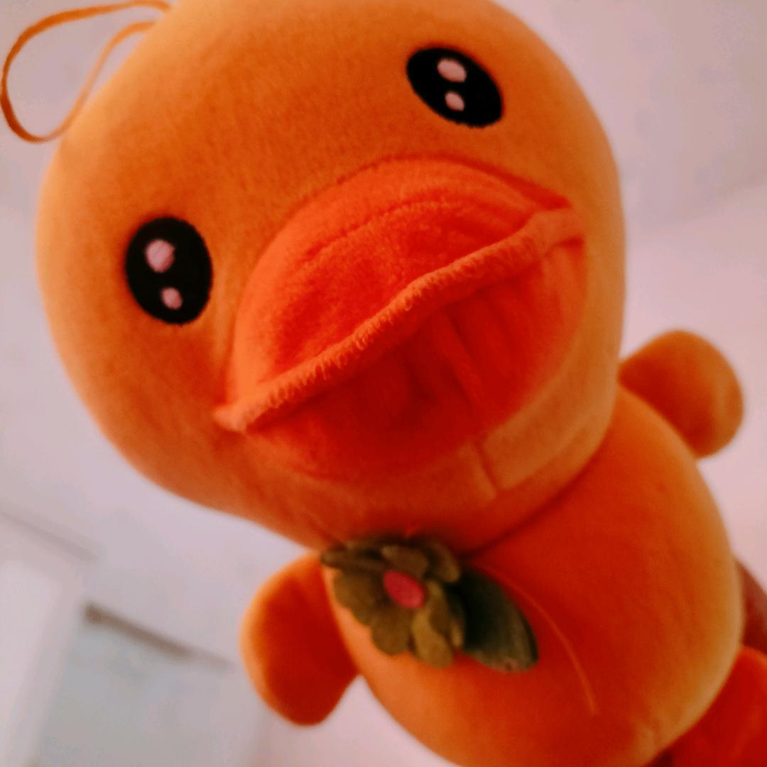 燕微蝶