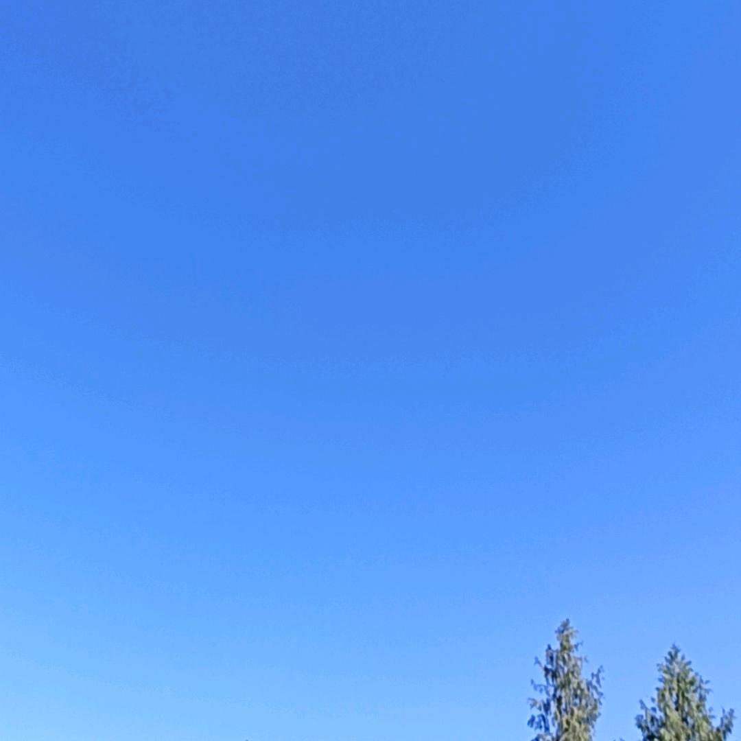 梁苏钰