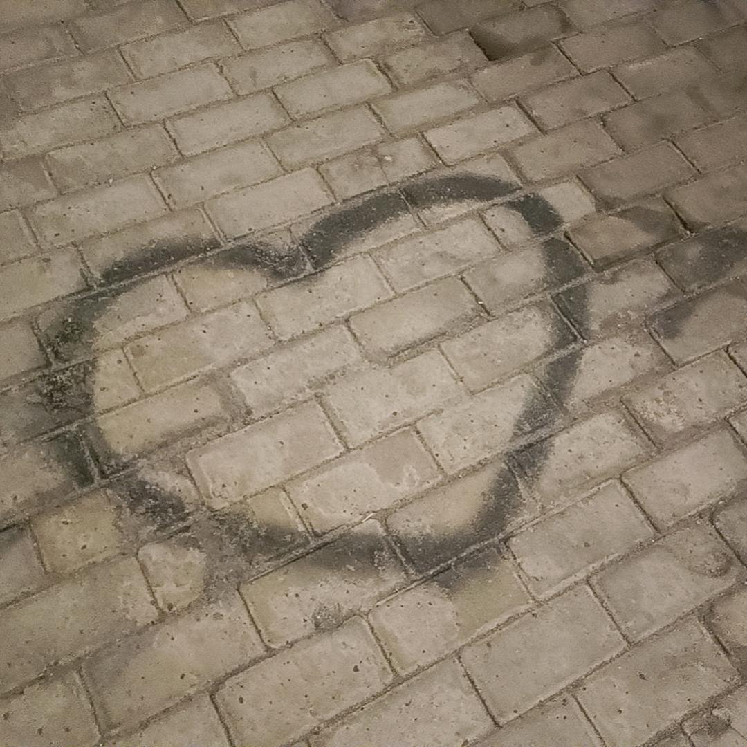 💞ღ᭄丹丹ঞ᭄༊💞