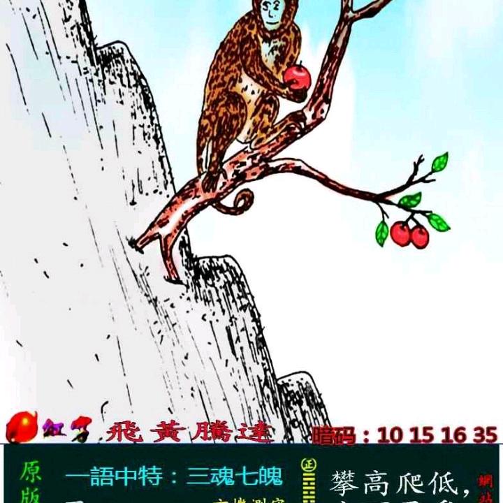 相约长寿之乡，蕉岭，