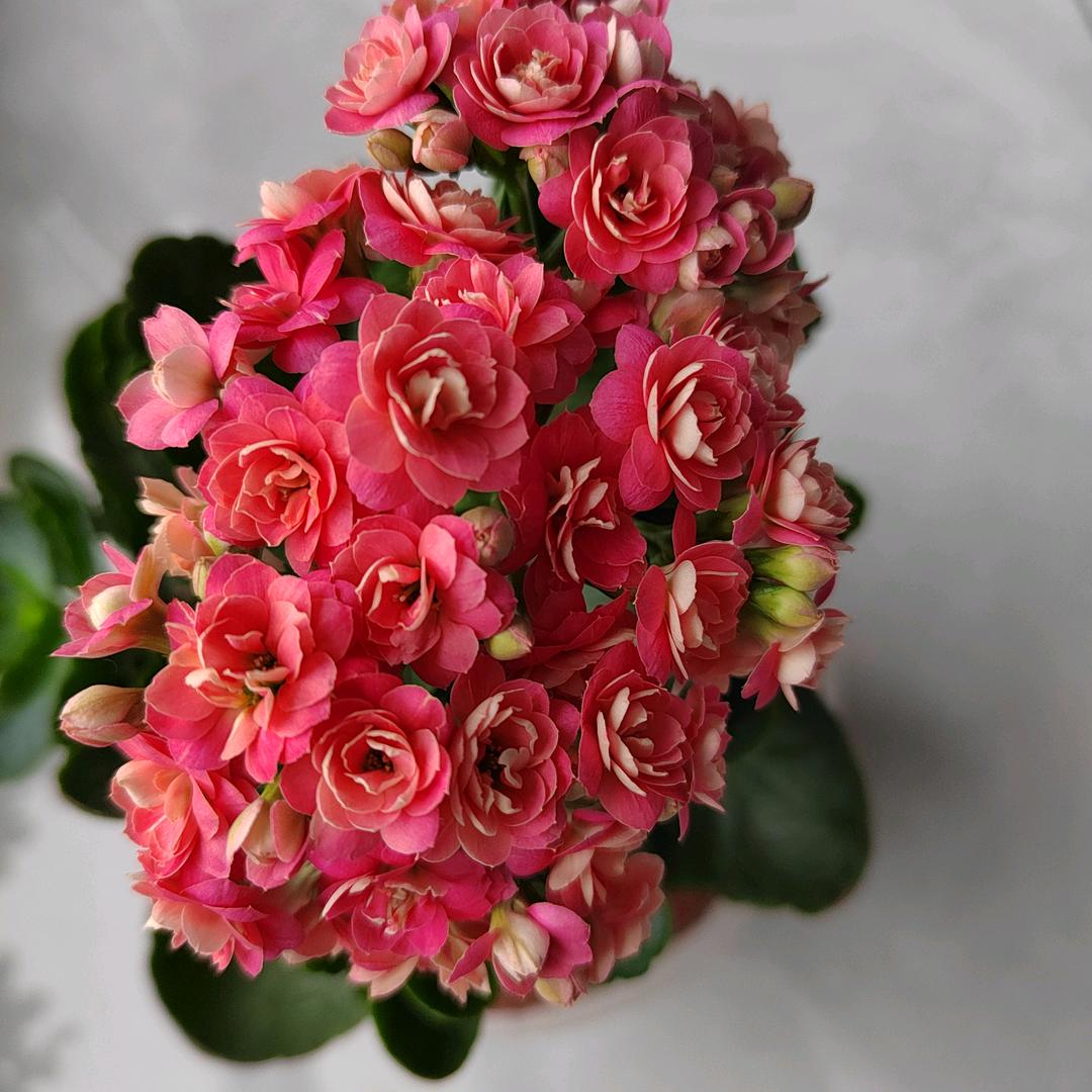 有舍有得不舍不得