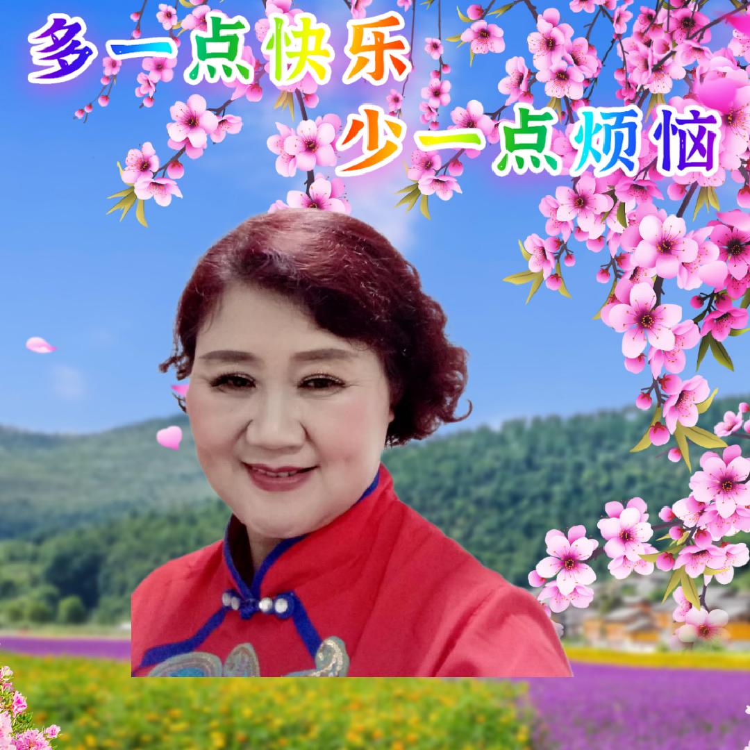 梦姐好物