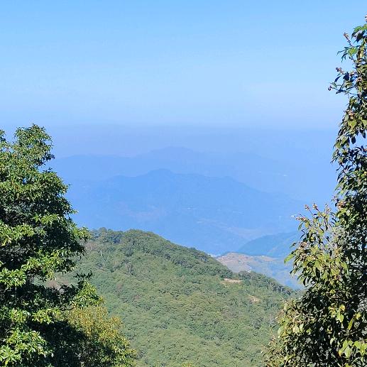 台州浙忠机动车报费回收有限公司