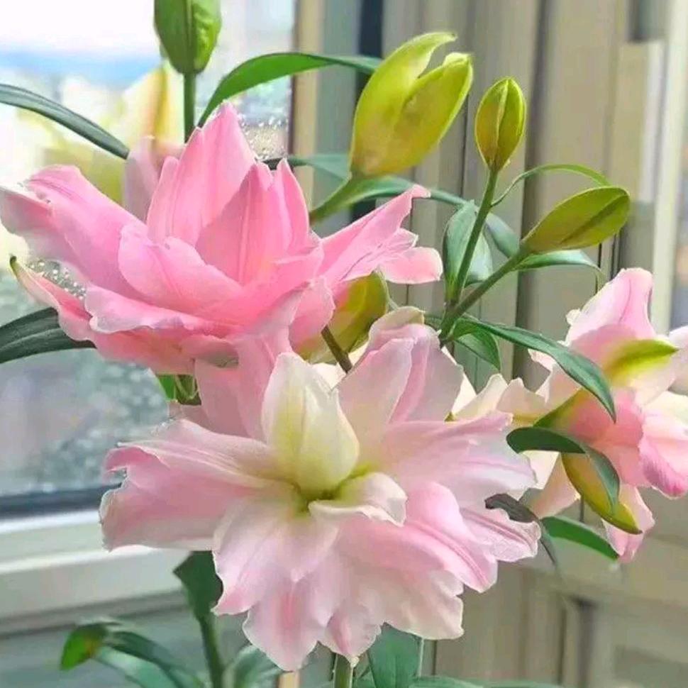 钰