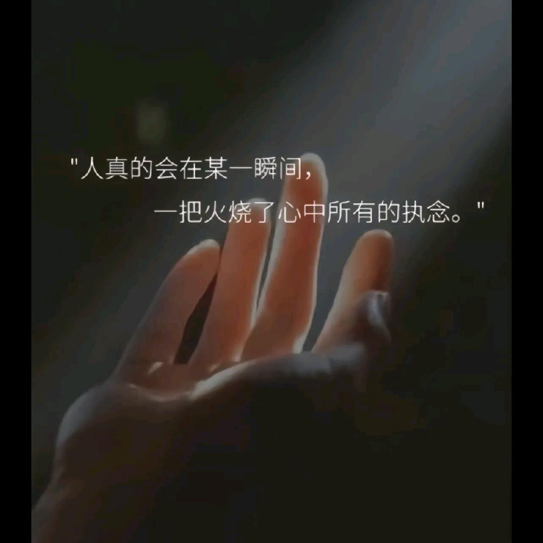 飘零的葉子