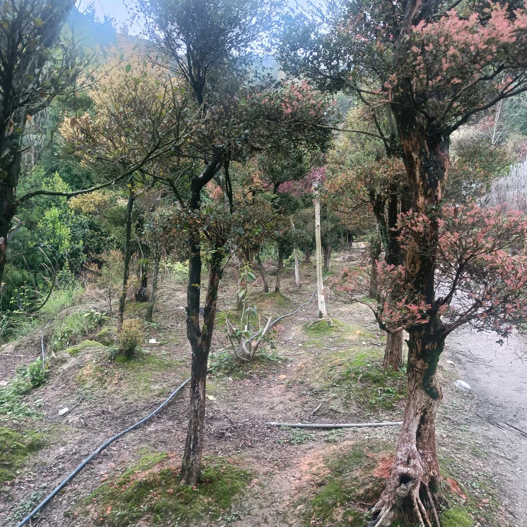 一个人超负荷前行