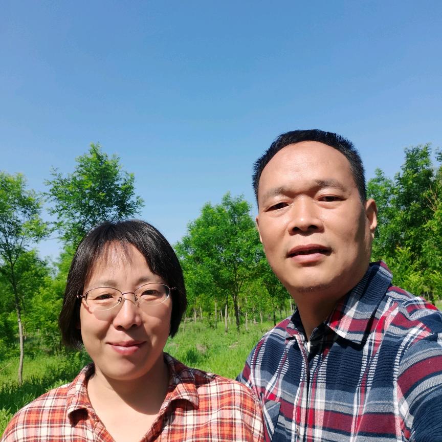 海信(武清银江商城店)专用号