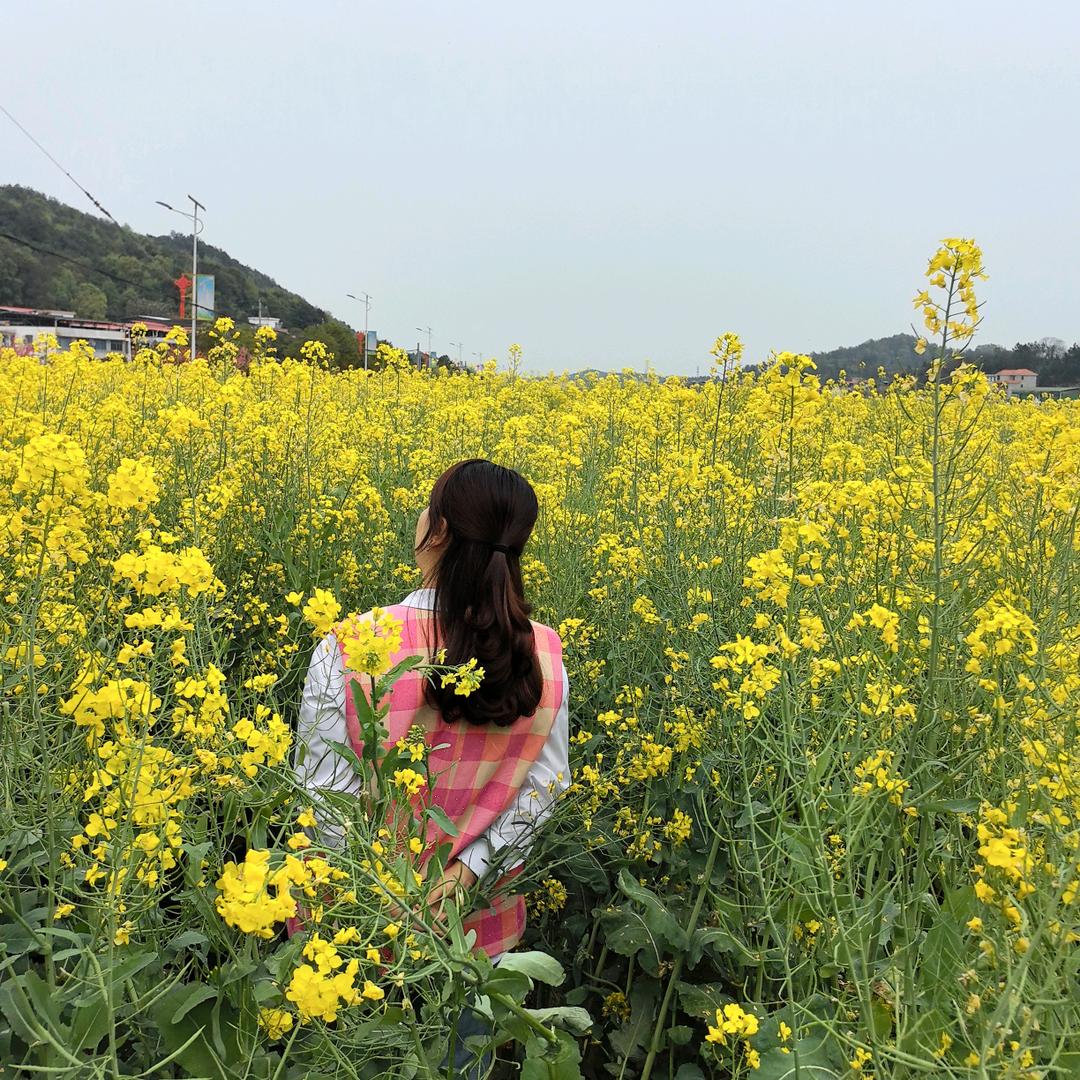 🦋小甜心🦋