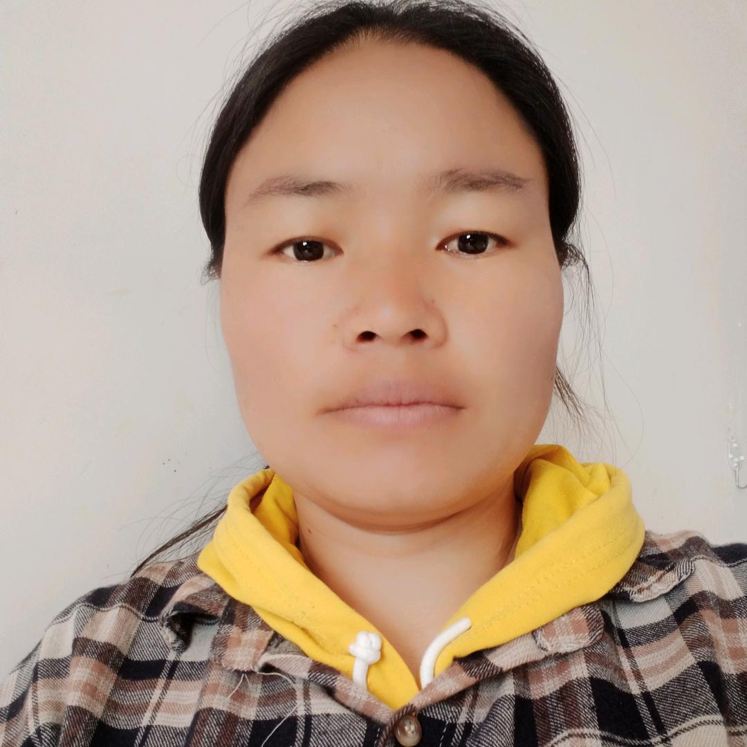 红巧
