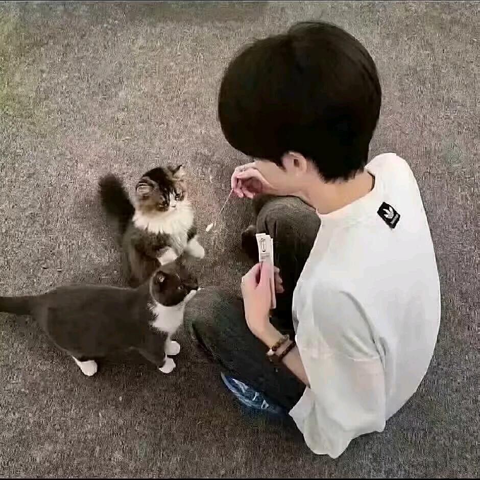 林 ￴ ￴ ￴ ￴ ￴