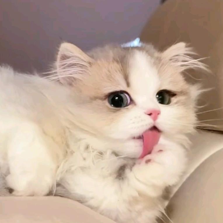 云霄上的🌈