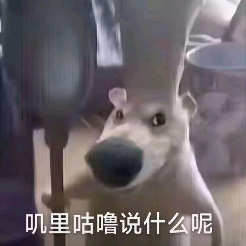 墨卿