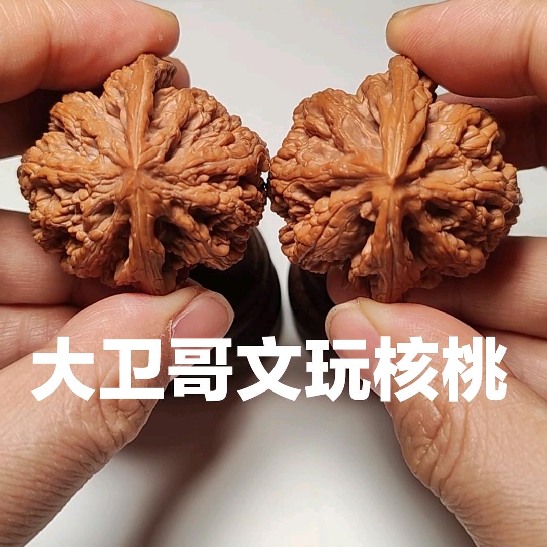 大卫哥~文玩核桃