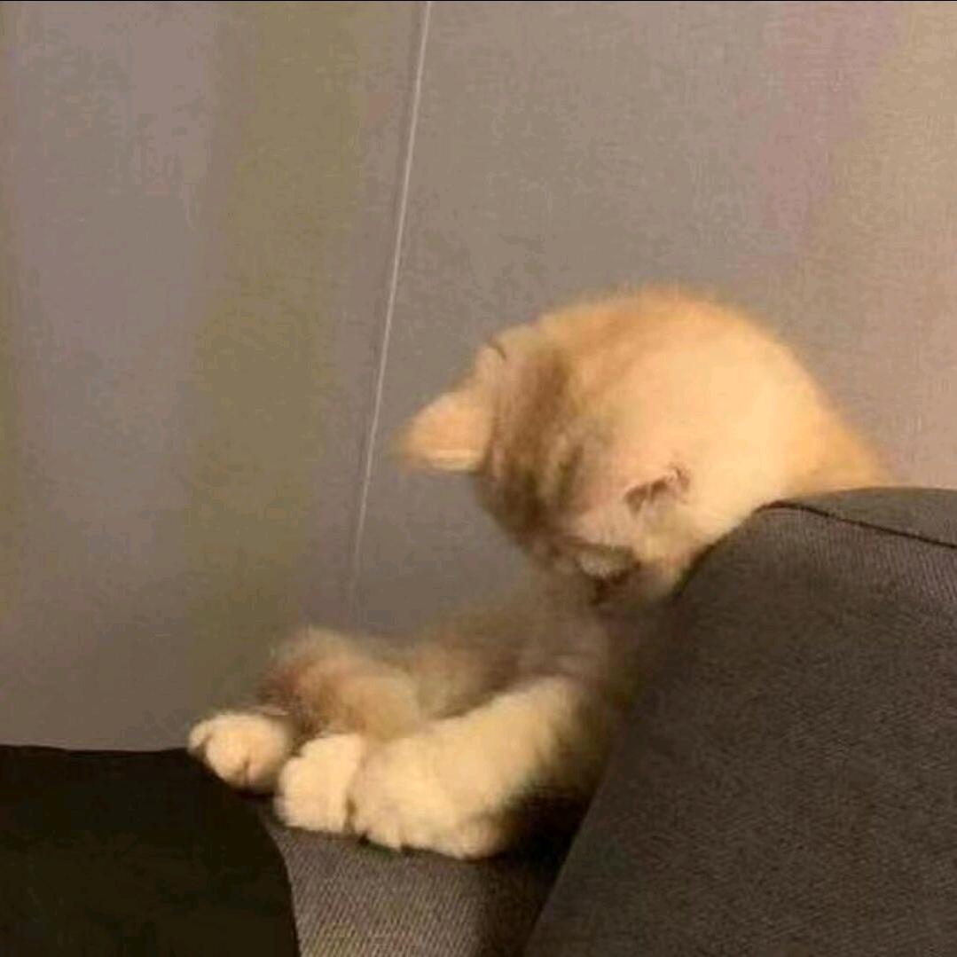 洺