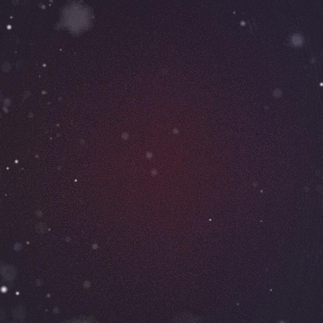 福星高照